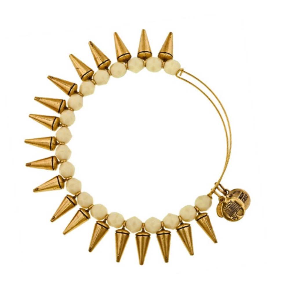 Alex and Ani Spike Bangle